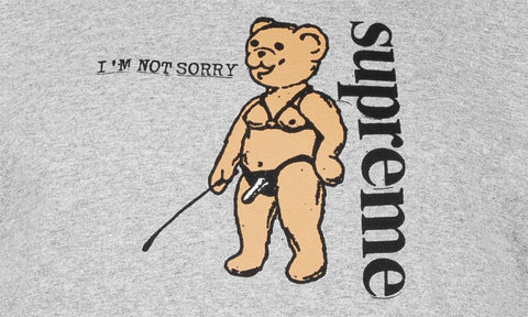 SUPREME CLOTHING SUPREME NOT SORRY T-SHIRT GREY zc1PPDZH3