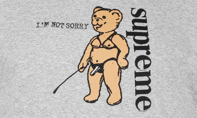 SUPREME CLOTHING SUPREME NOT SORRY T-SHIRT GREY zc1PPDZH3