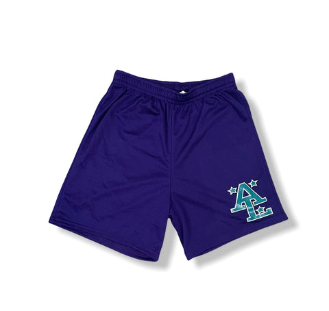 ALLIVIR LEAGUE CLOTHING ALLIVIR LEAGUE F/W MESH BASKETBALL SHORTS PURPLE TvS1RQvEW